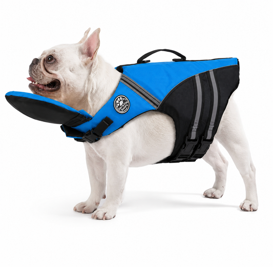 PawShield™ – Keep Your Best Friend Safe On The Water