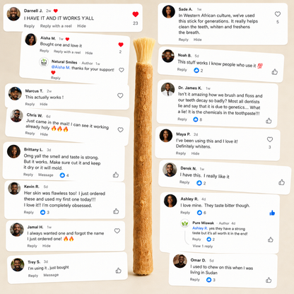 Ancient Organic Miswak Toothbrush 1pc