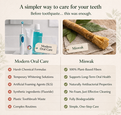Ancient Organic Miswak Toothbrush 1pc